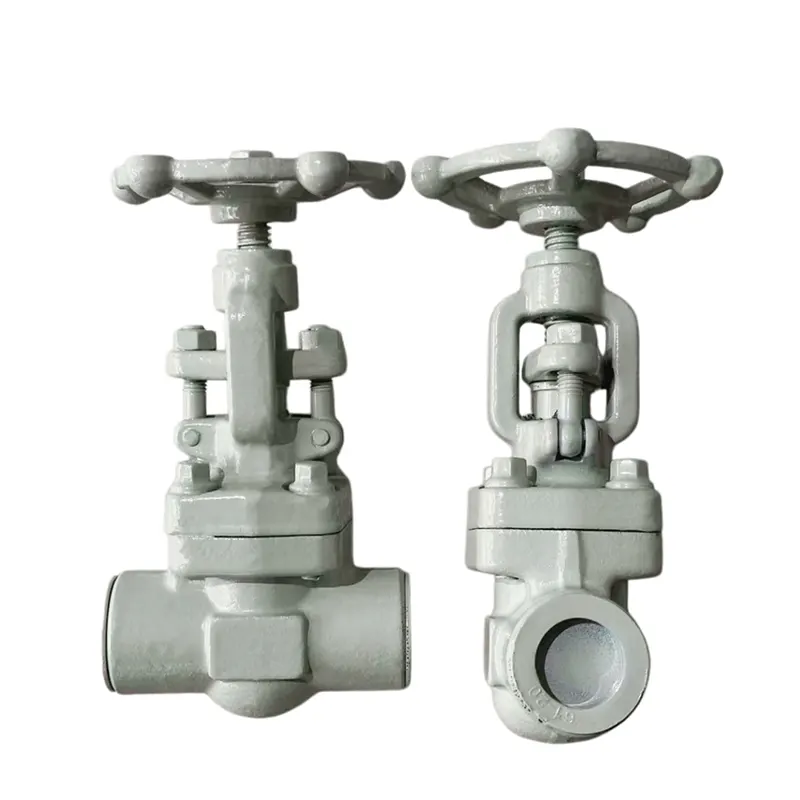 Chemical Industry Specific Gate Valve