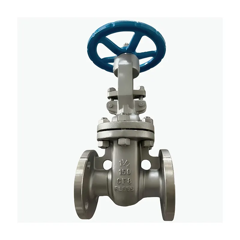 Chipata Valve Flanged End