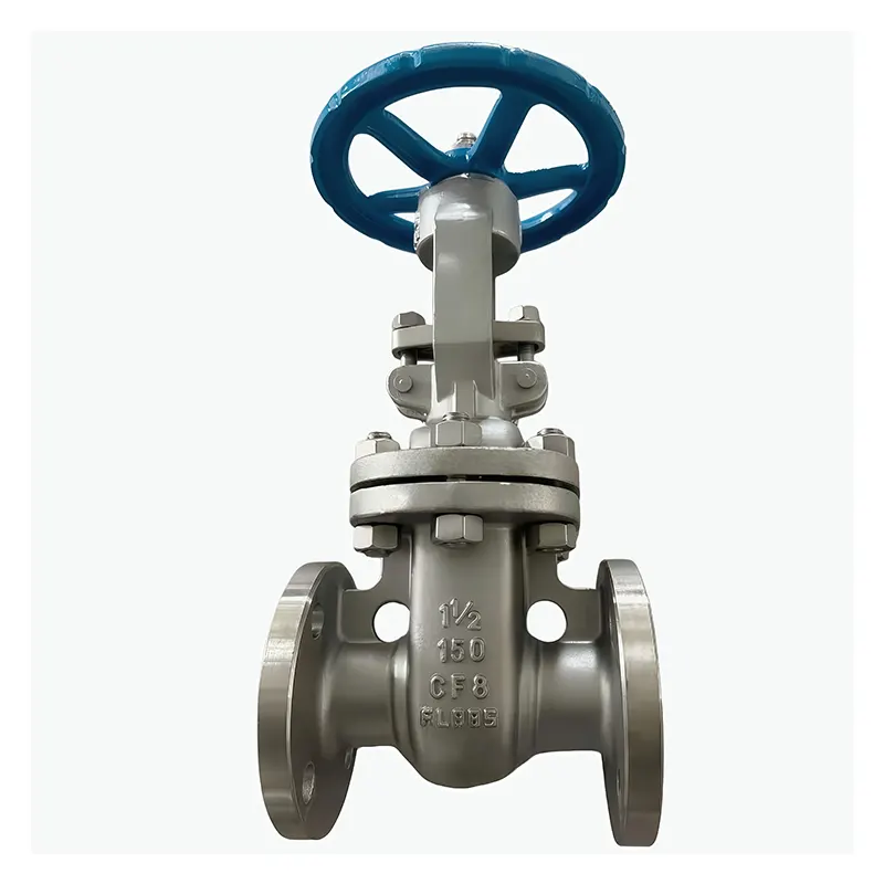 Chitsulo chosapanga dzimbiri cha 304 Flanged Gate Valve