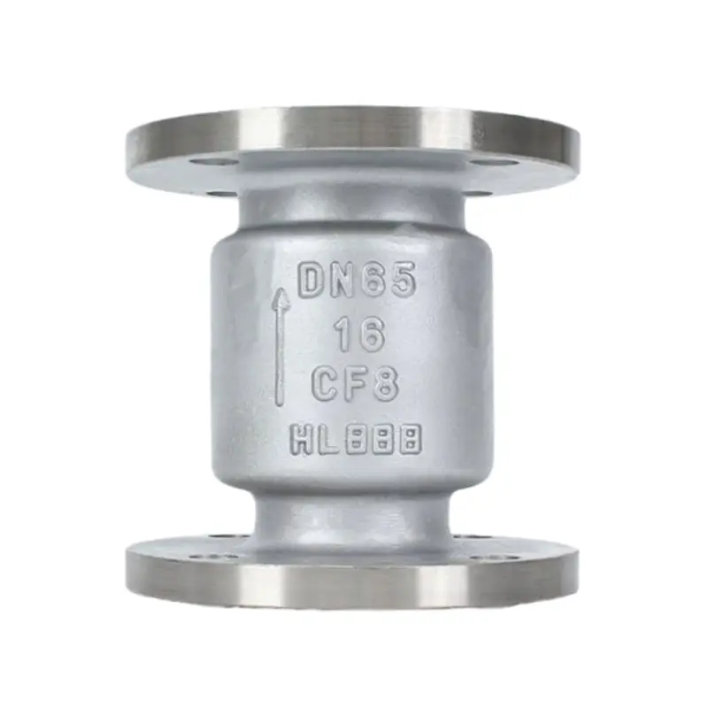 Mavavu Osapanga dzimbiri a 316 Vertical Check Valves
